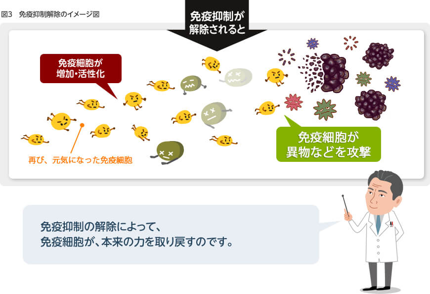 図３：免疫抑制細胞を減らし、免疫が本来の力を取り戻せば、異物などを攻撃・排除できることが期待できます（免疫抑制の解除）
